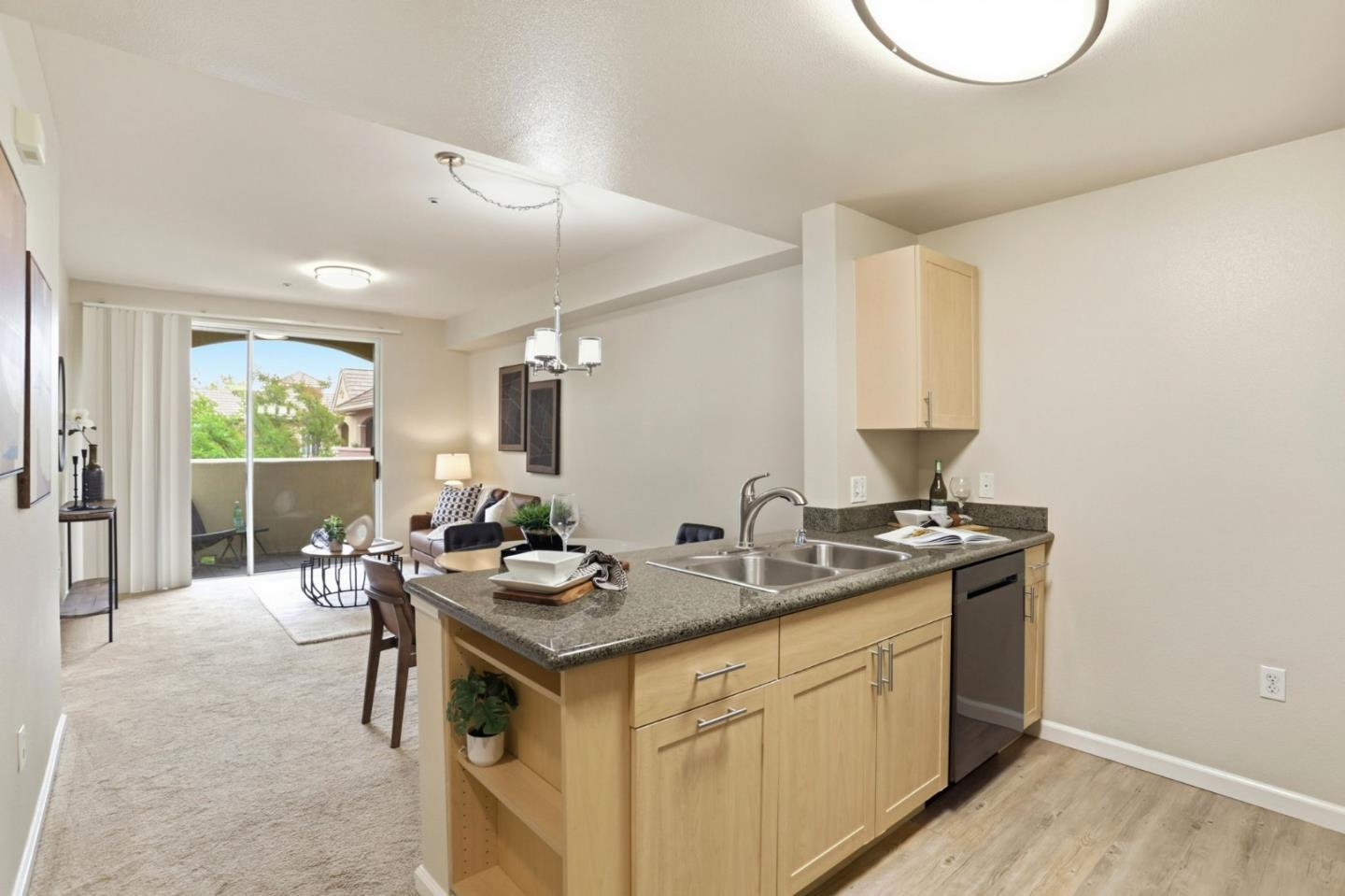 1550 Technology Drive 4106