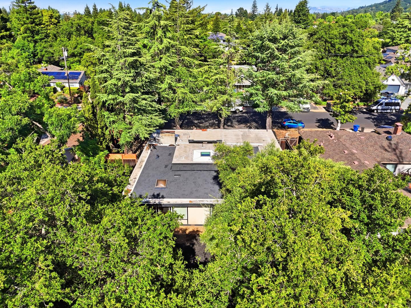 15515 Corinne Drive
