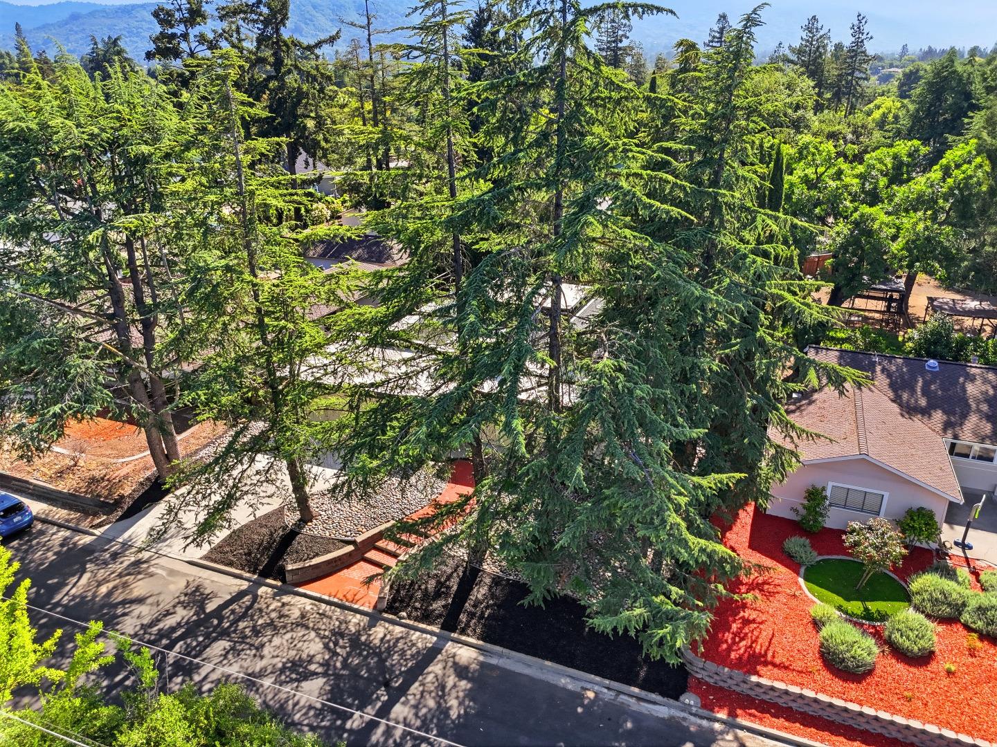 15515 Corinne Drive