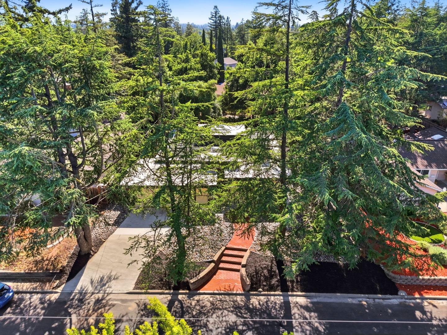 15515 Corinne Drive