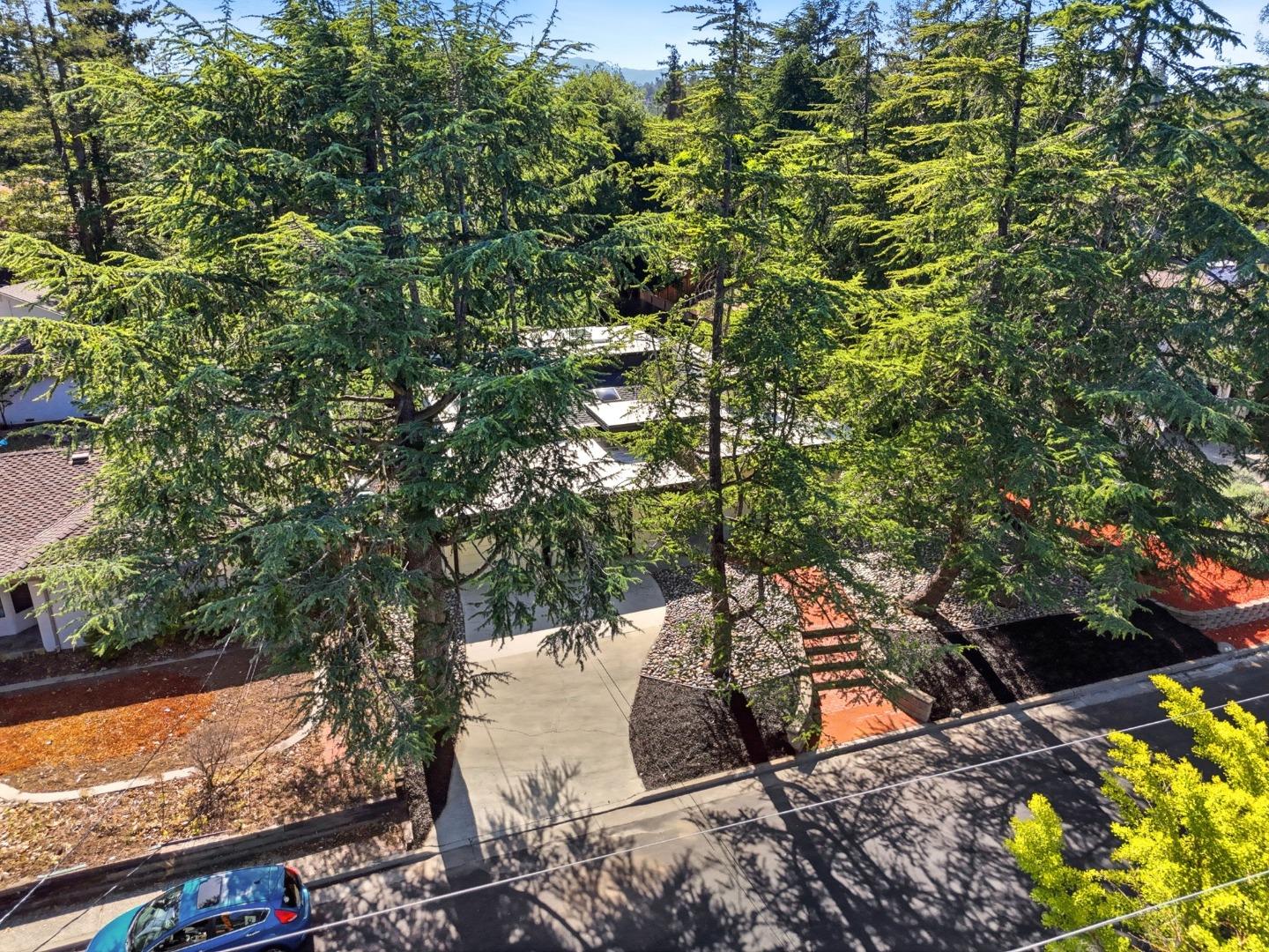 15515 Corinne Drive