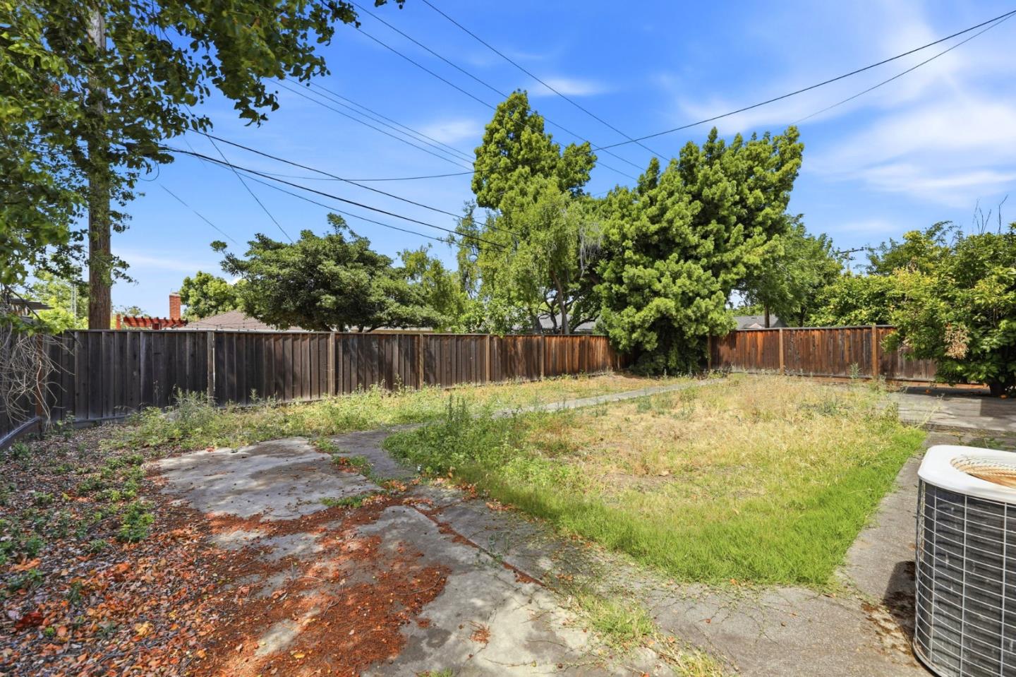 3355 Forest Avenue