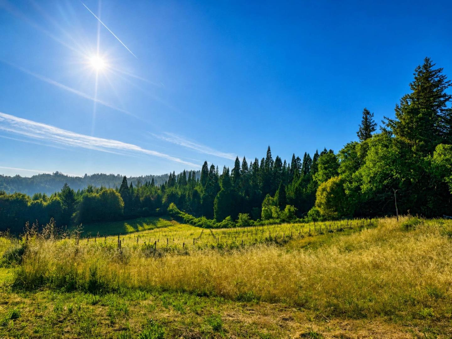 18516 Skyline Boulevard