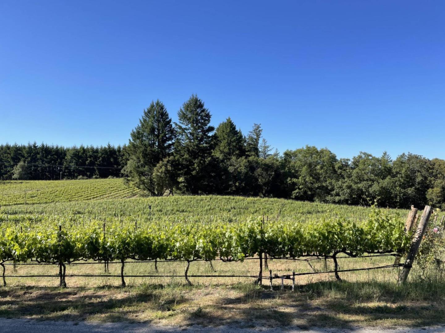 18516 Skyline Boulevard