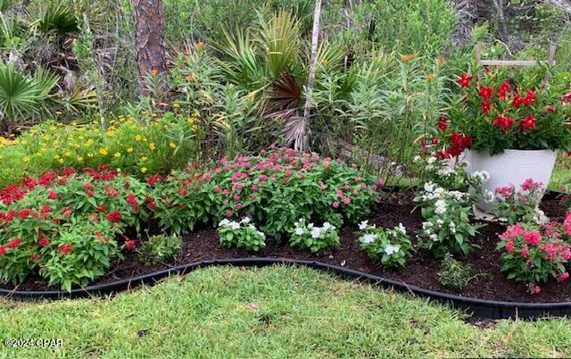 361 Emerald Cove Street