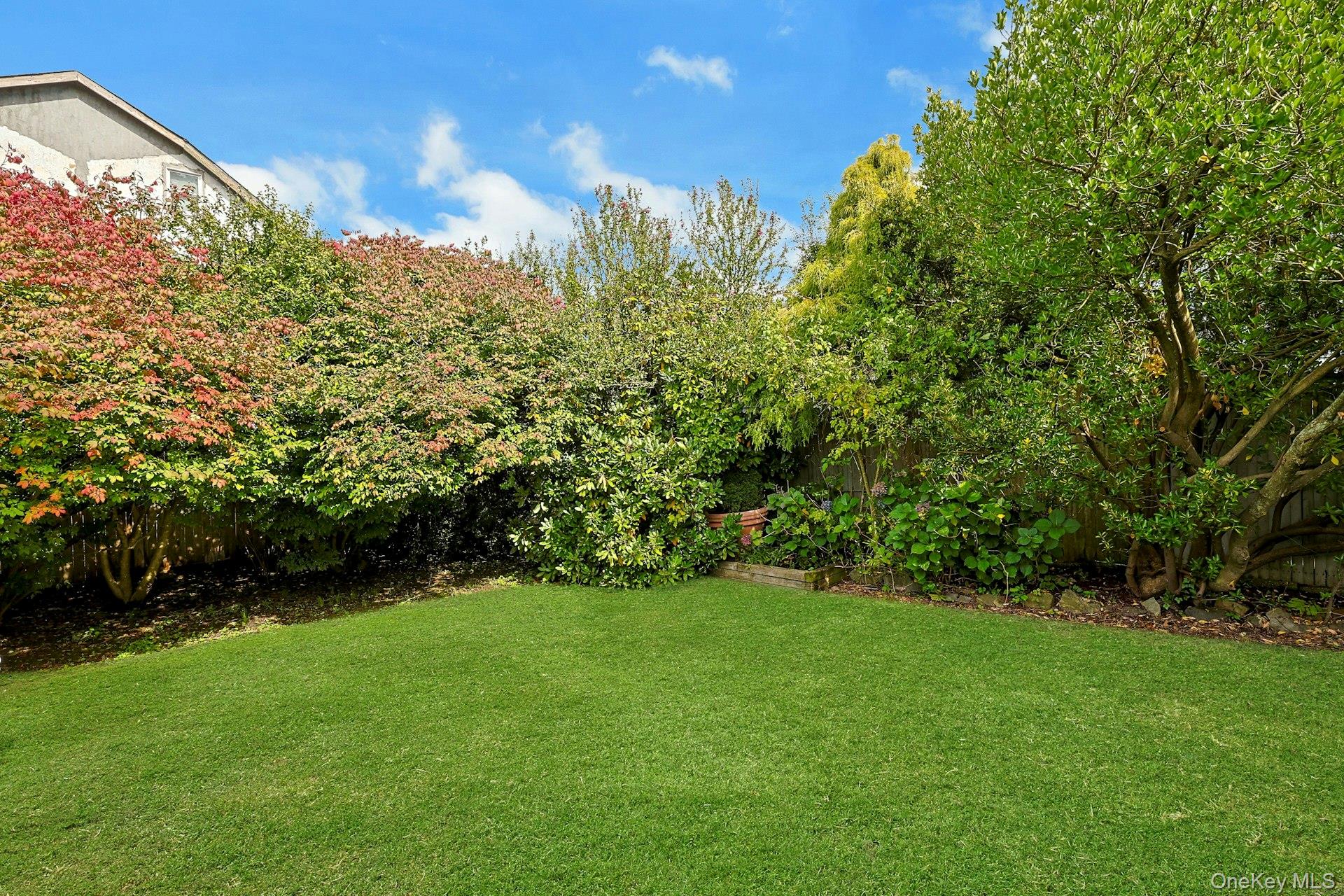 Backyard lawn bordered by dense mature trees and shrubs with reddish autumn foliage.