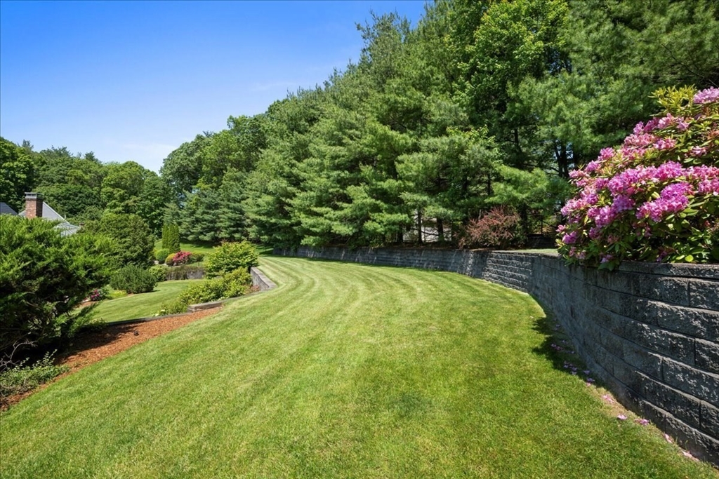 14 Vanessa Dr