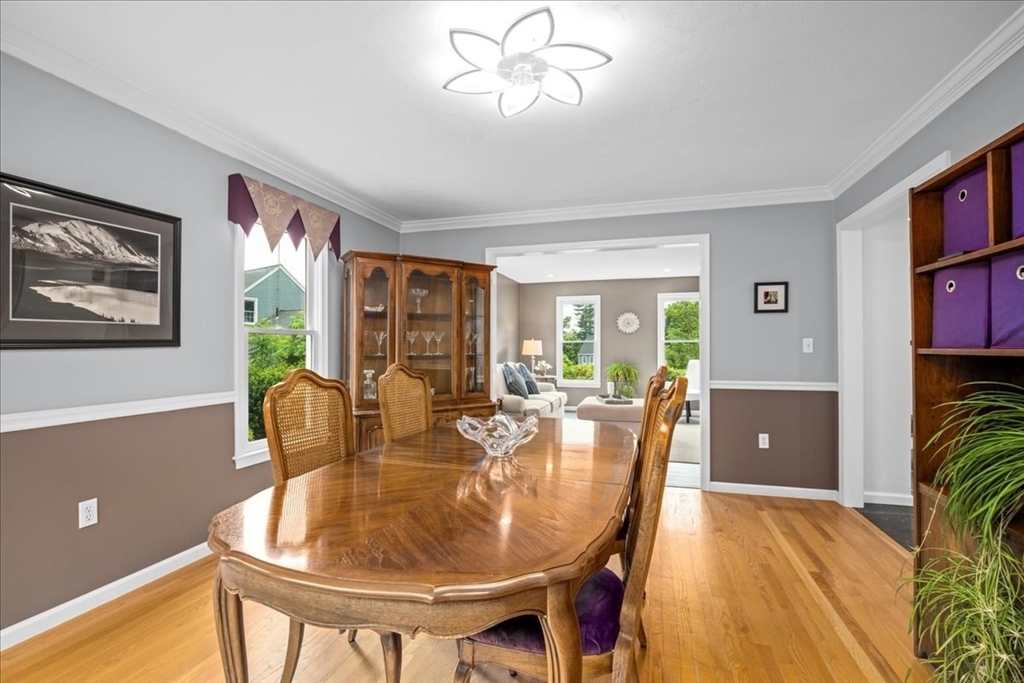 14 Vanessa Dr