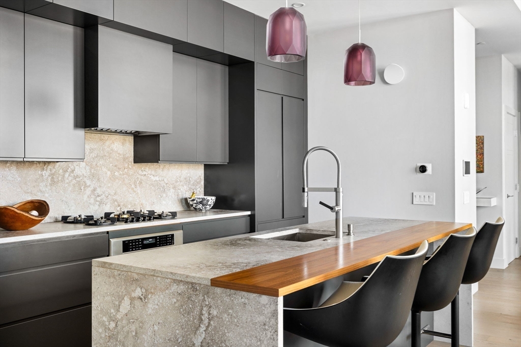 Sophisticated South End Penthouse