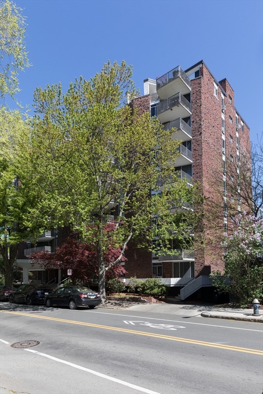 19 Winchester St # 711