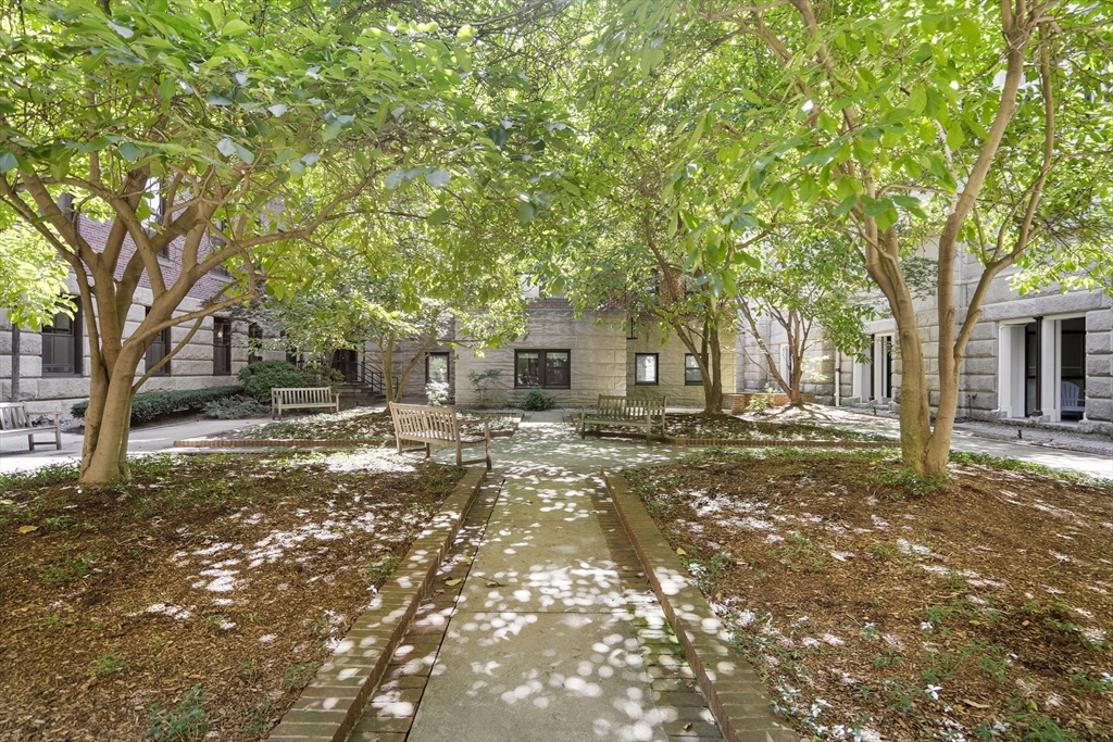 771 Harrison Ave. # 309