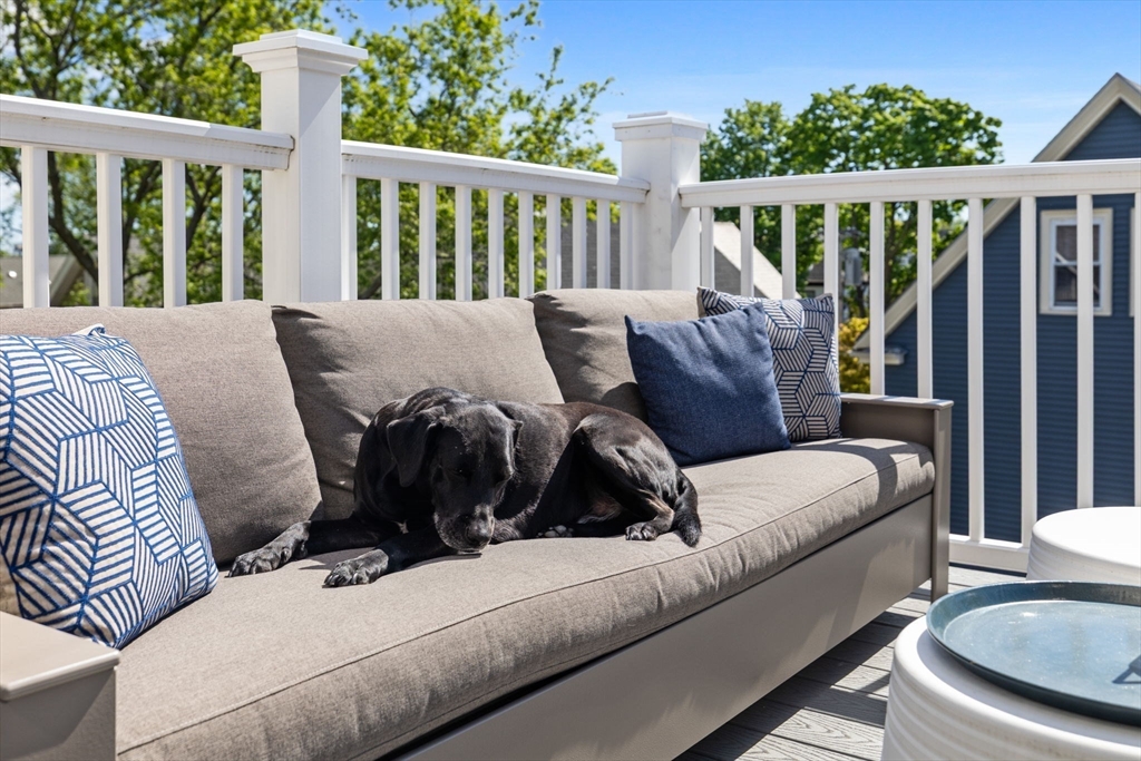 Savin Hill Penthouse
