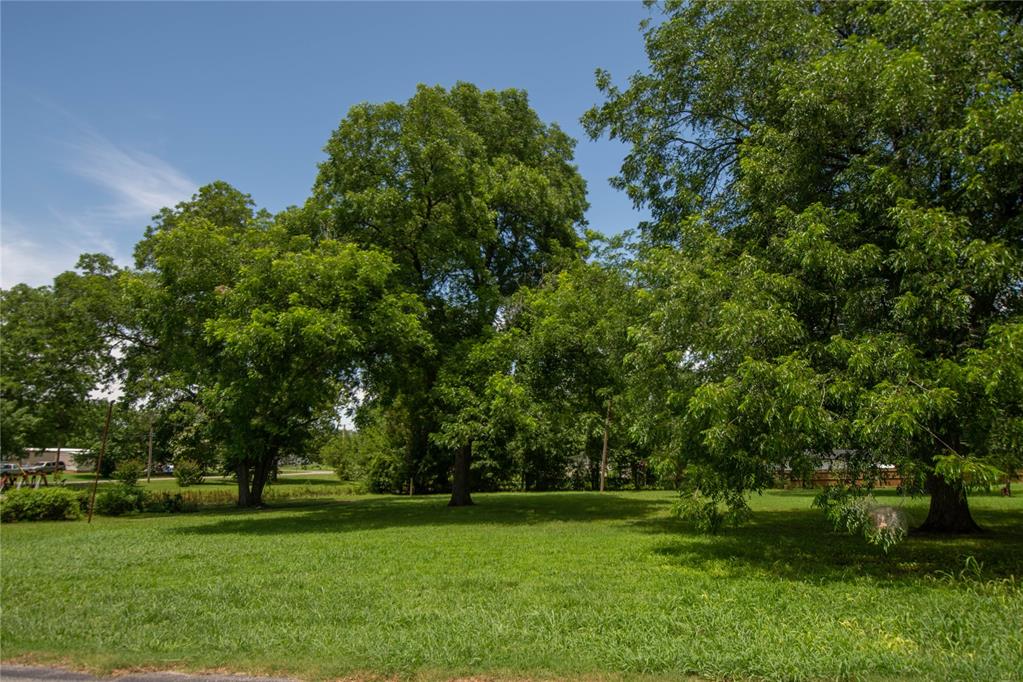 E Catalpa Street