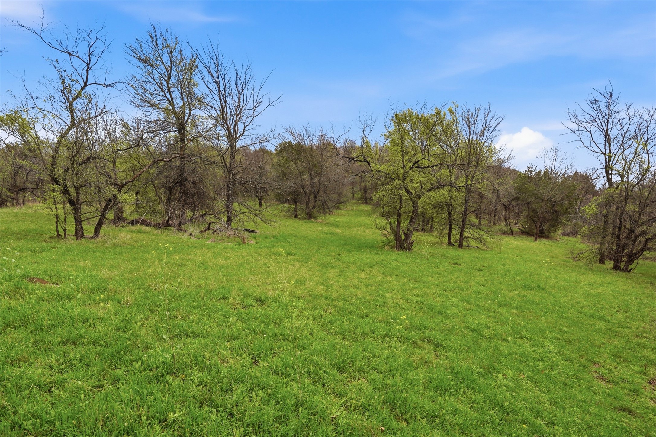 2605 Whispering Oaks Cove