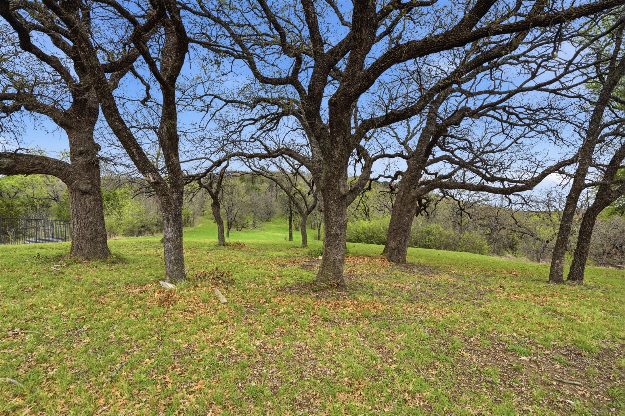 2605 Whispering Oaks Cove