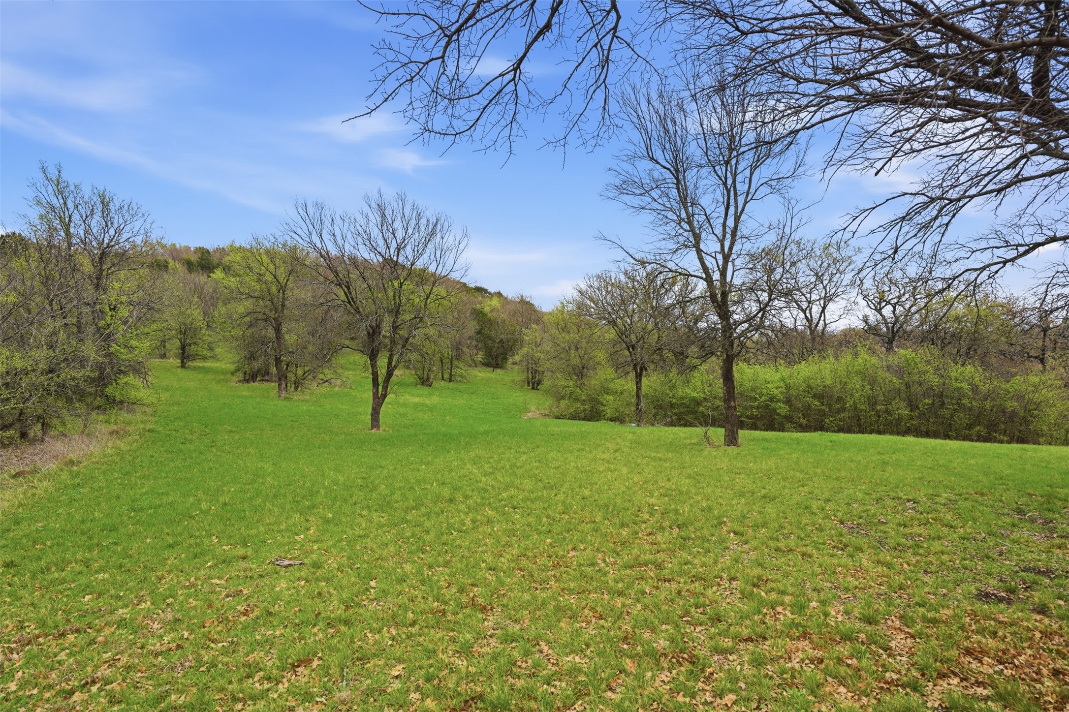 2605 Whispering Oaks Cove