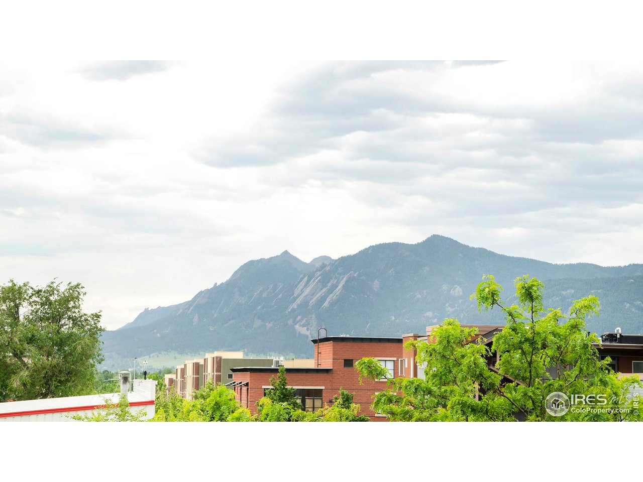 1318 Yellow Pine Ave B + C