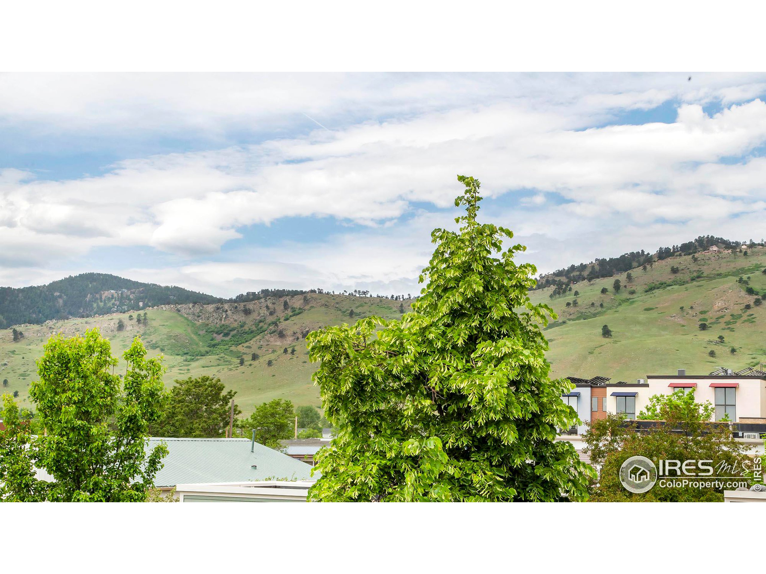 1318 Yellow Pine Ave B + C