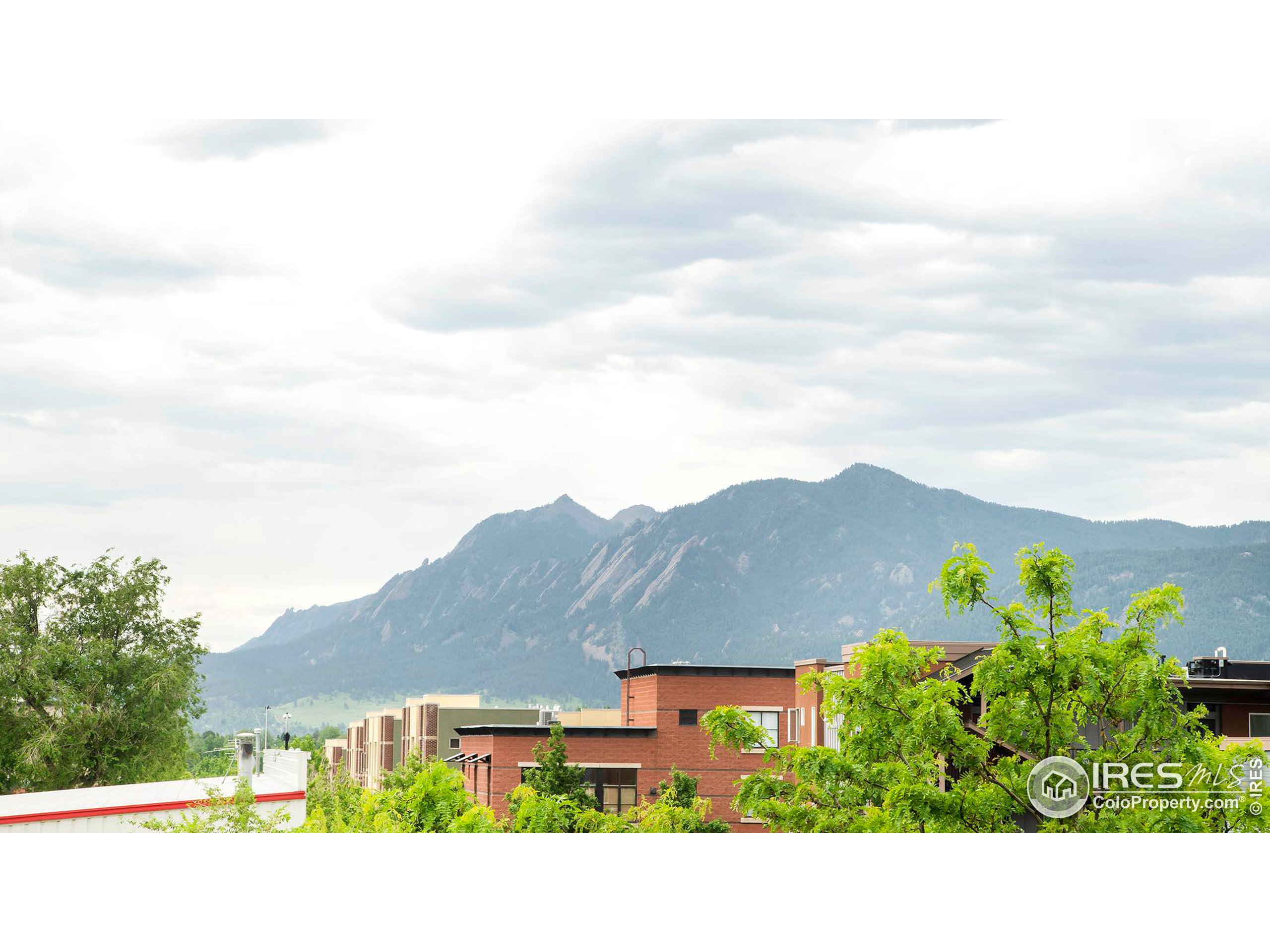 1318 Yellow Pine Ave B + C