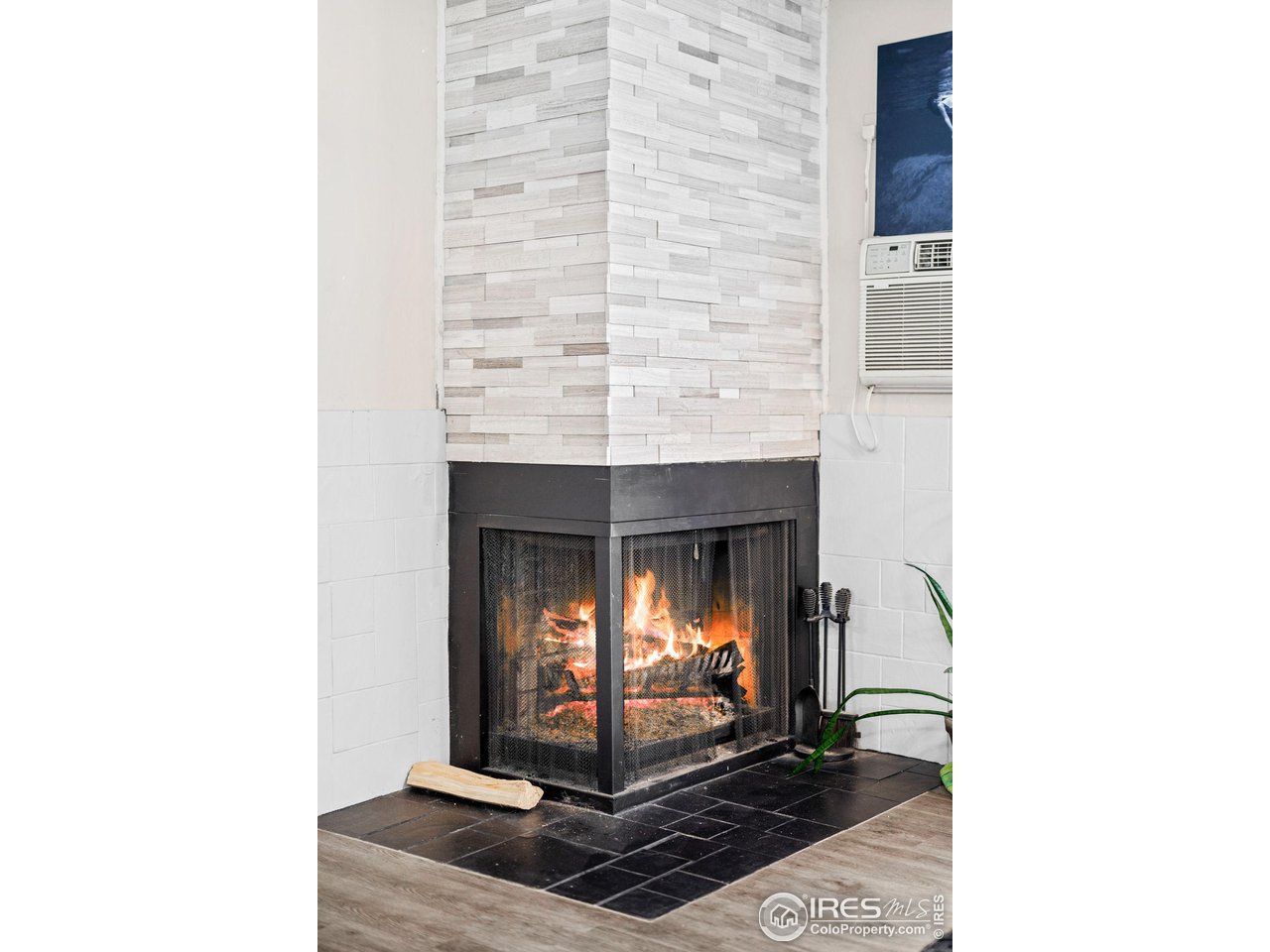 665 Manhattan Dr 205