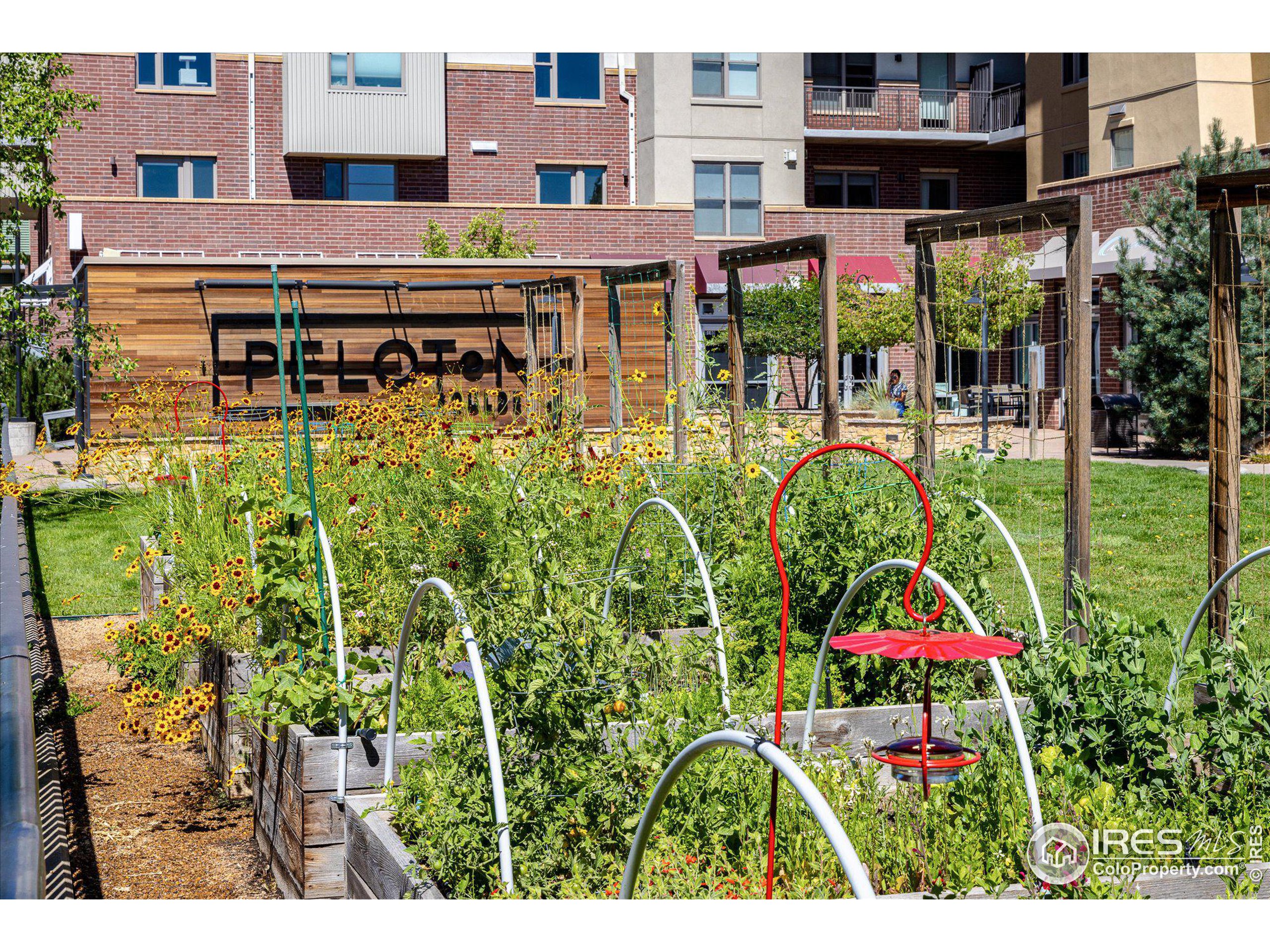 3401 Arapahoe Ave 210