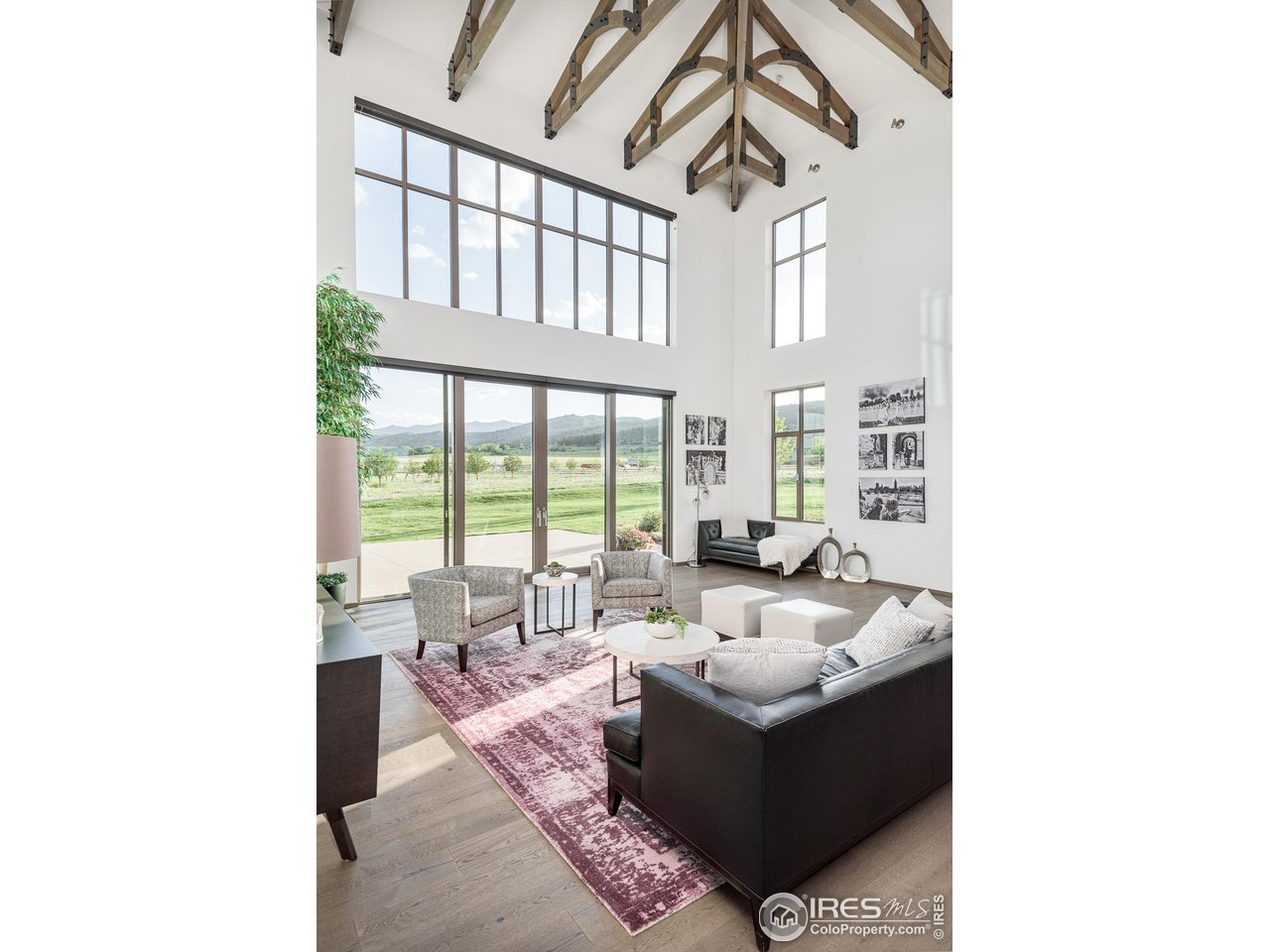 11546 Eagle Springs Trl