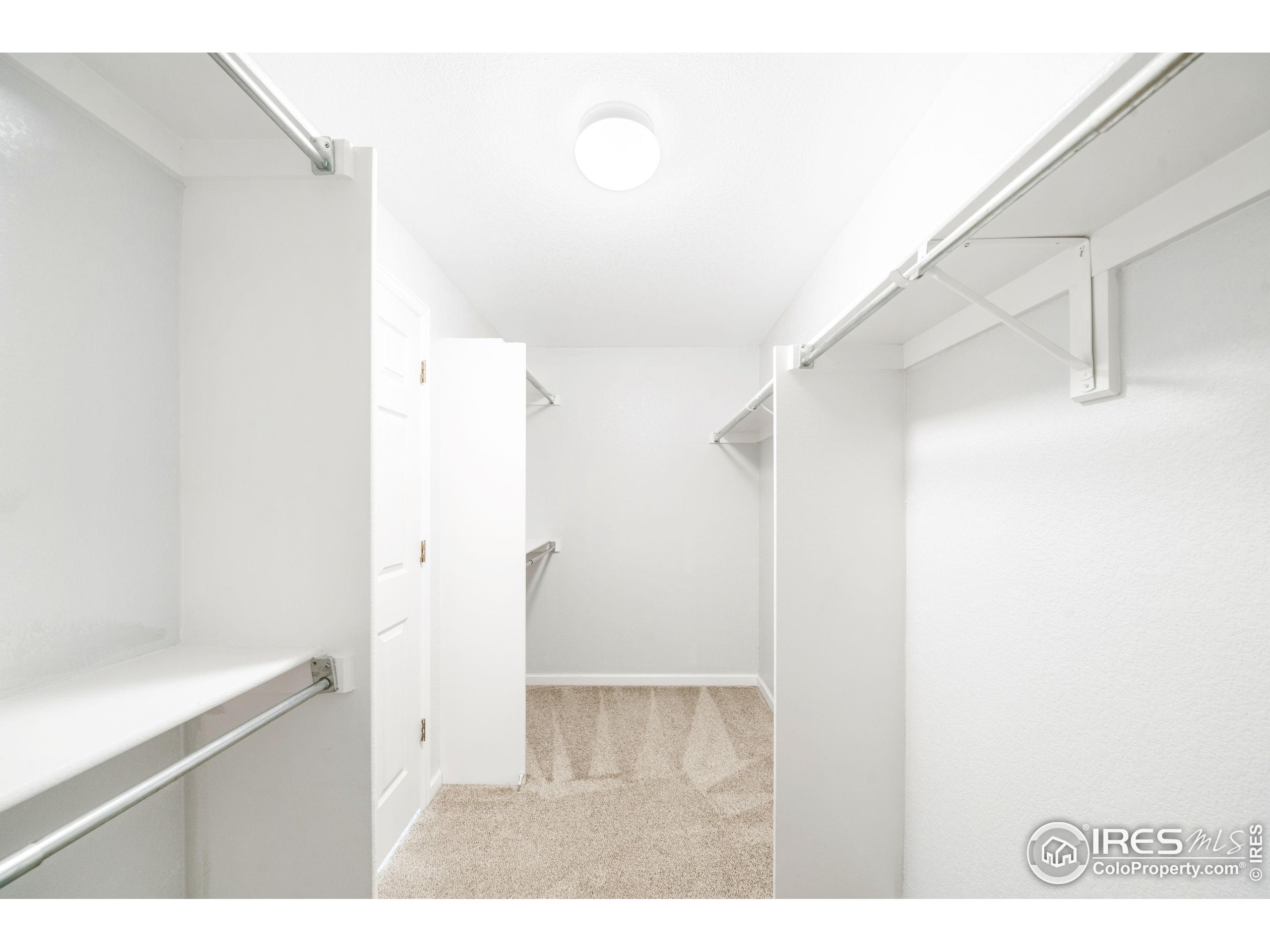 951 Quarterhorse Trl