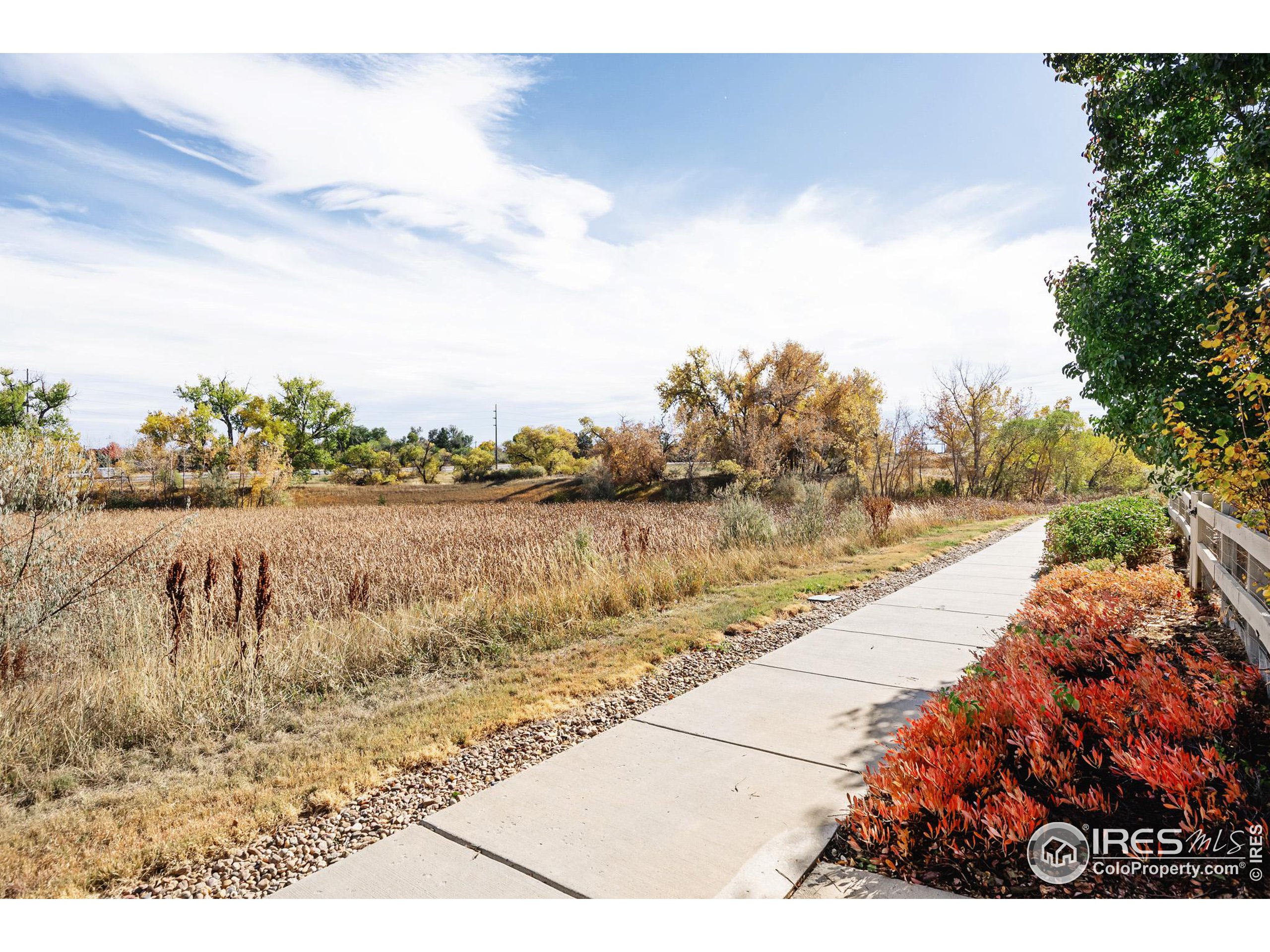 548 Straight Creek Way