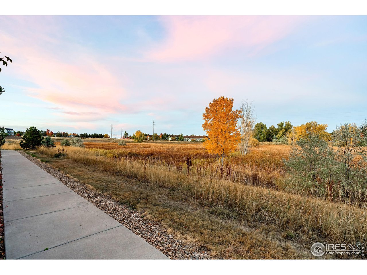 548 Straight Creek Way