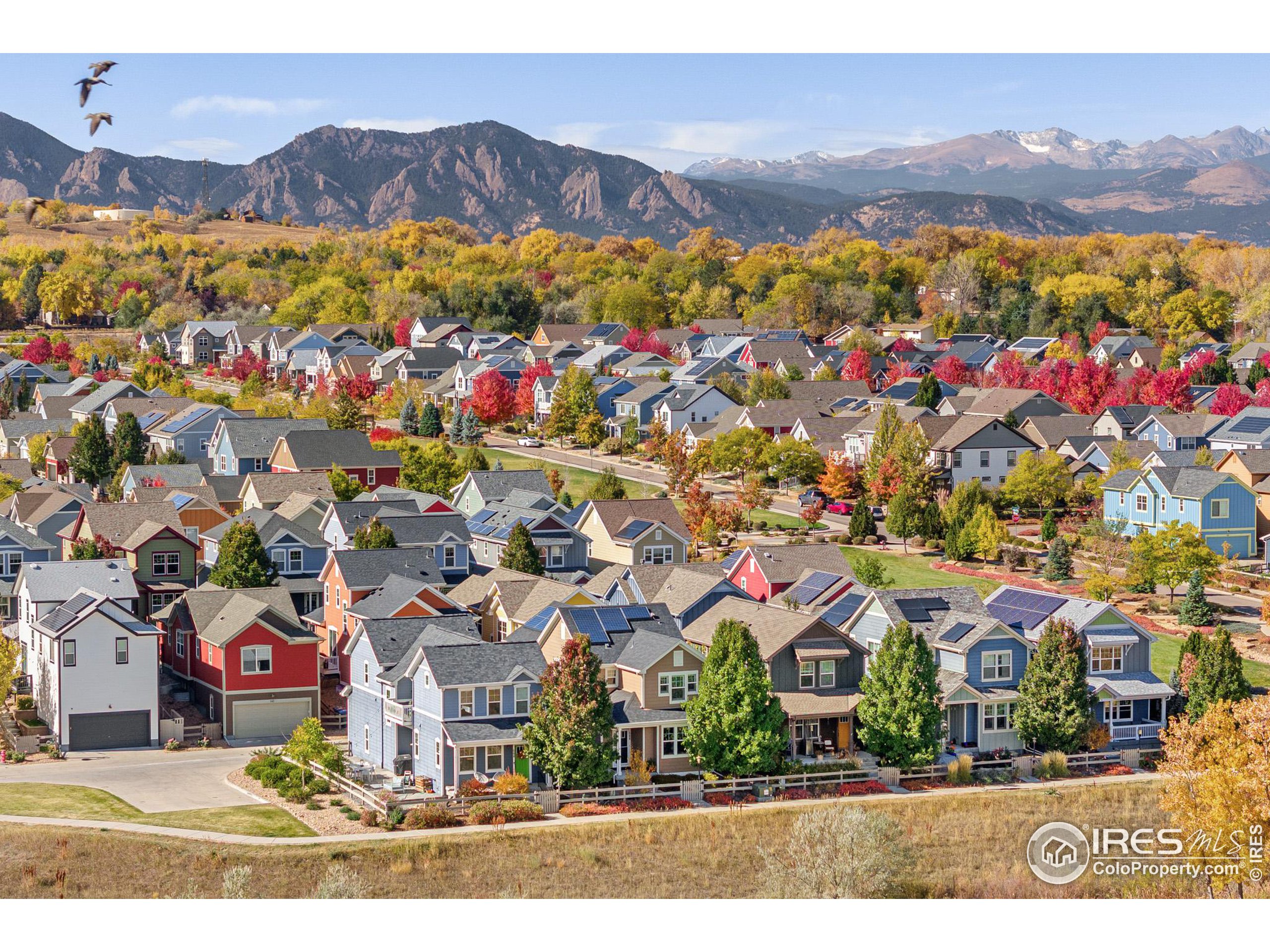 548 Straight Creek Way