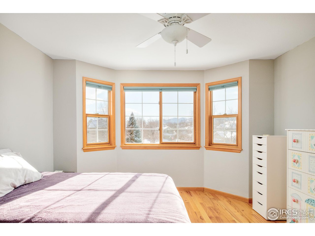 4588 Pussy Willow Ct