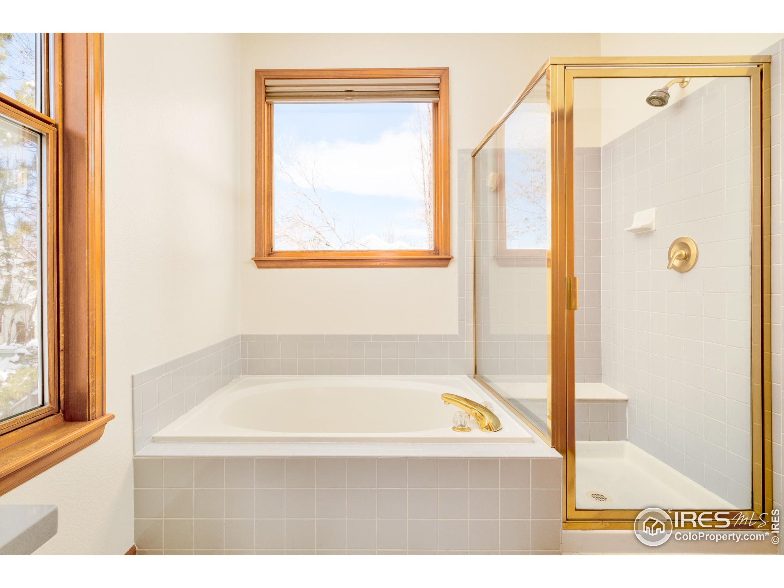 4588 Pussy Willow Ct