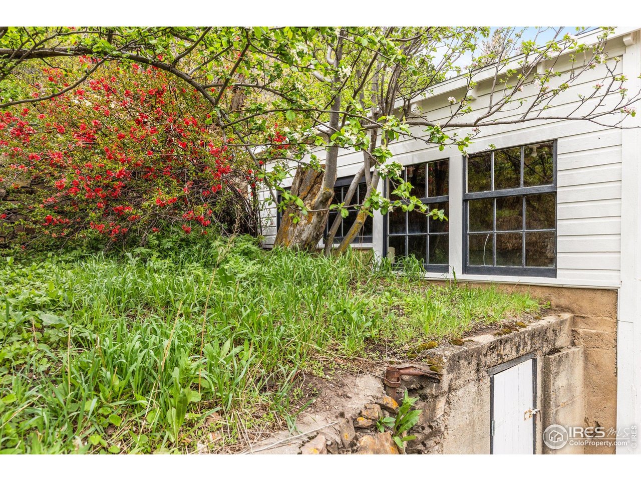 59 Eldorado Springs Dr