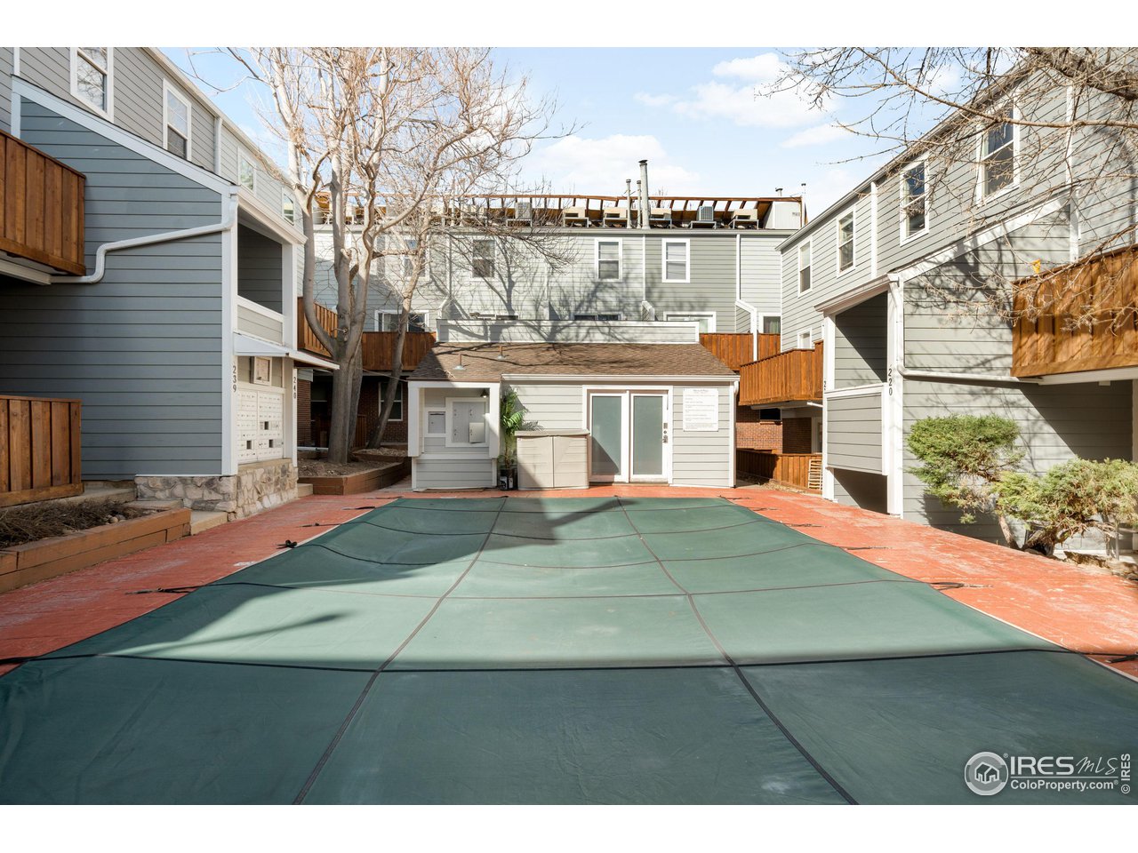 1111 Maxwell Ave 231