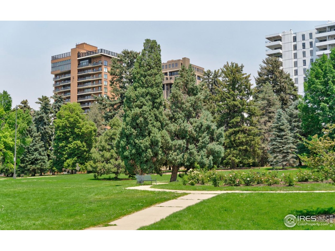 1441 N Humboldt St 302