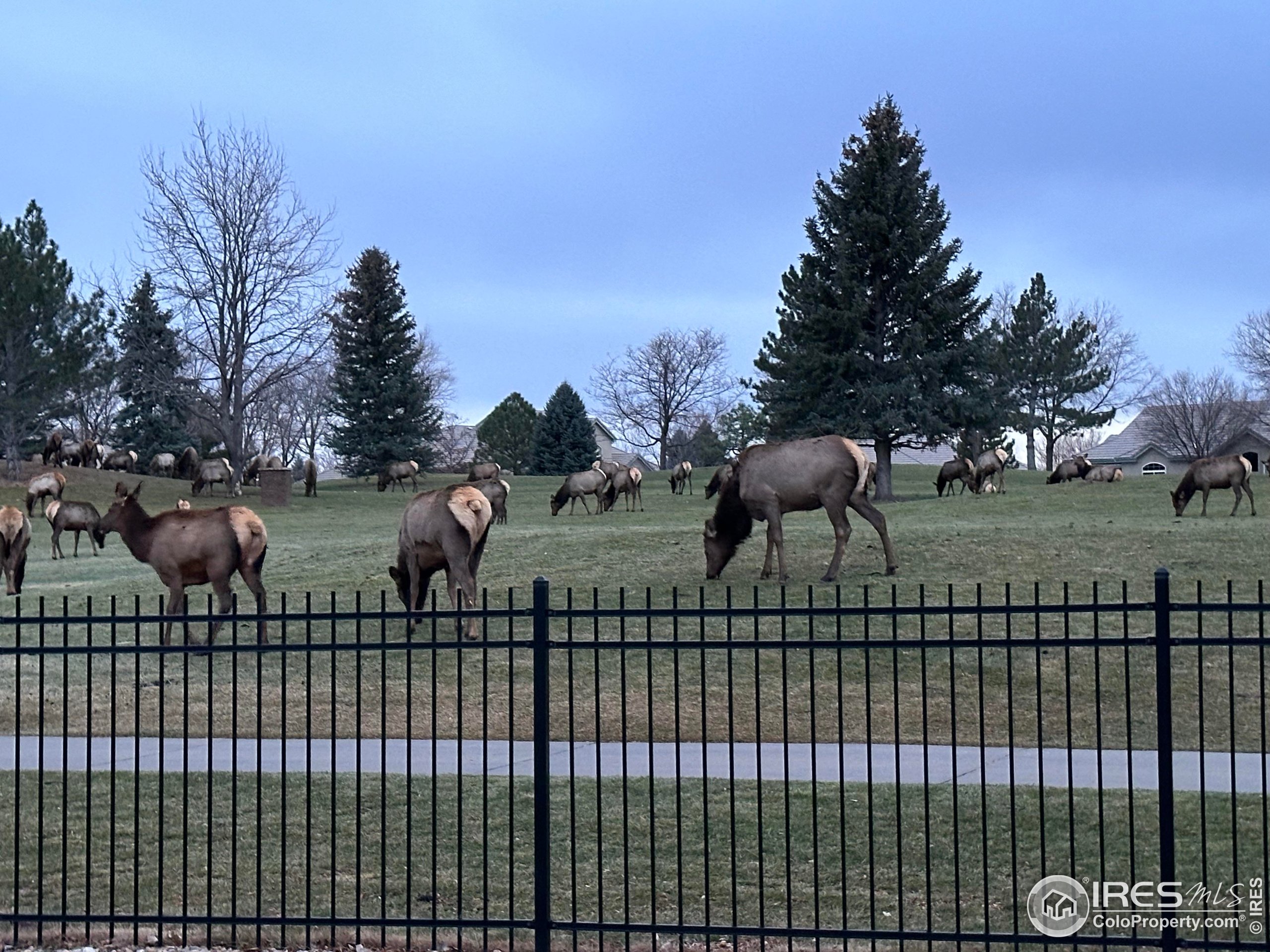 5072 Saint Andrews Dr