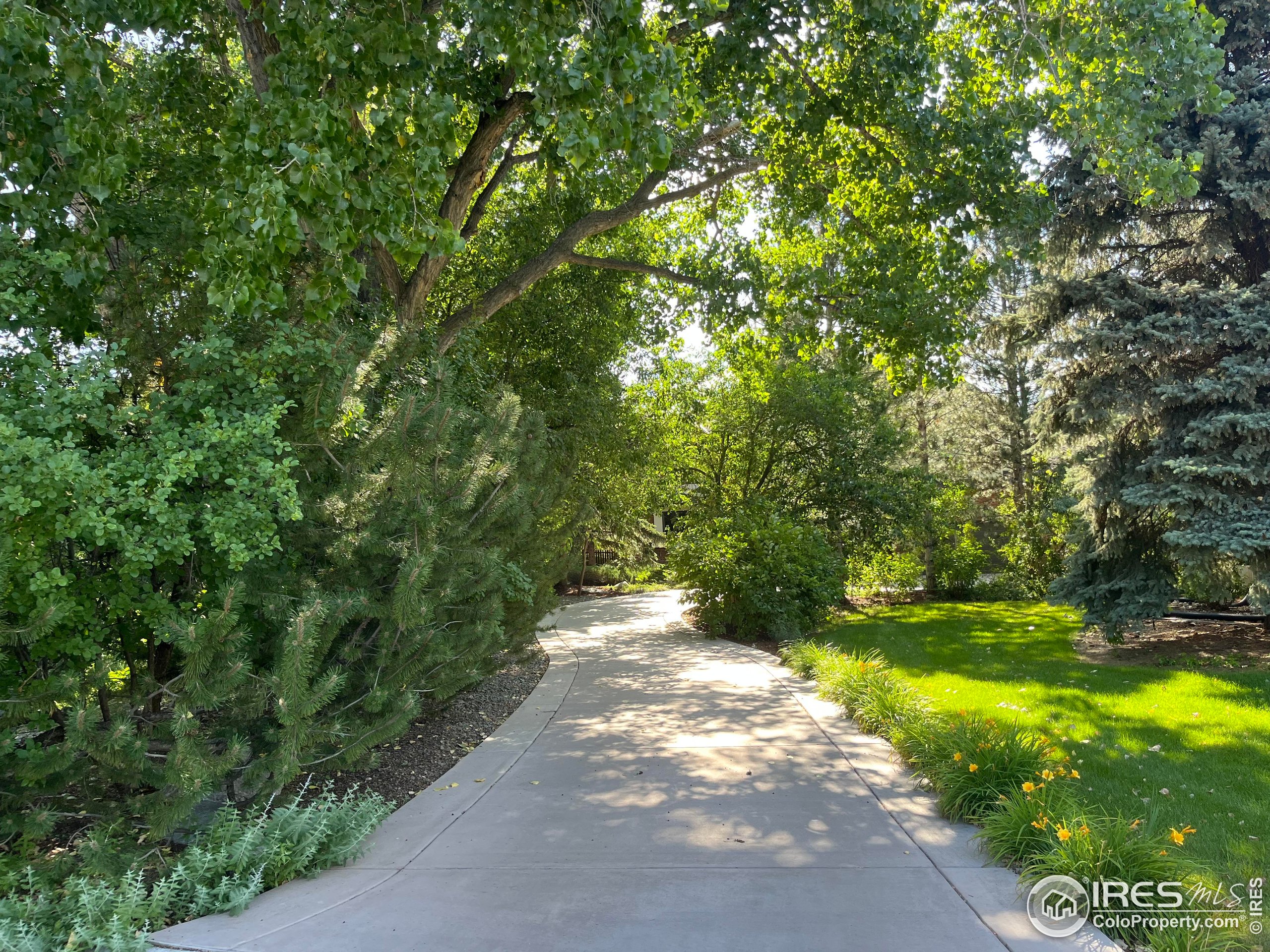 1323 Swallow Ct