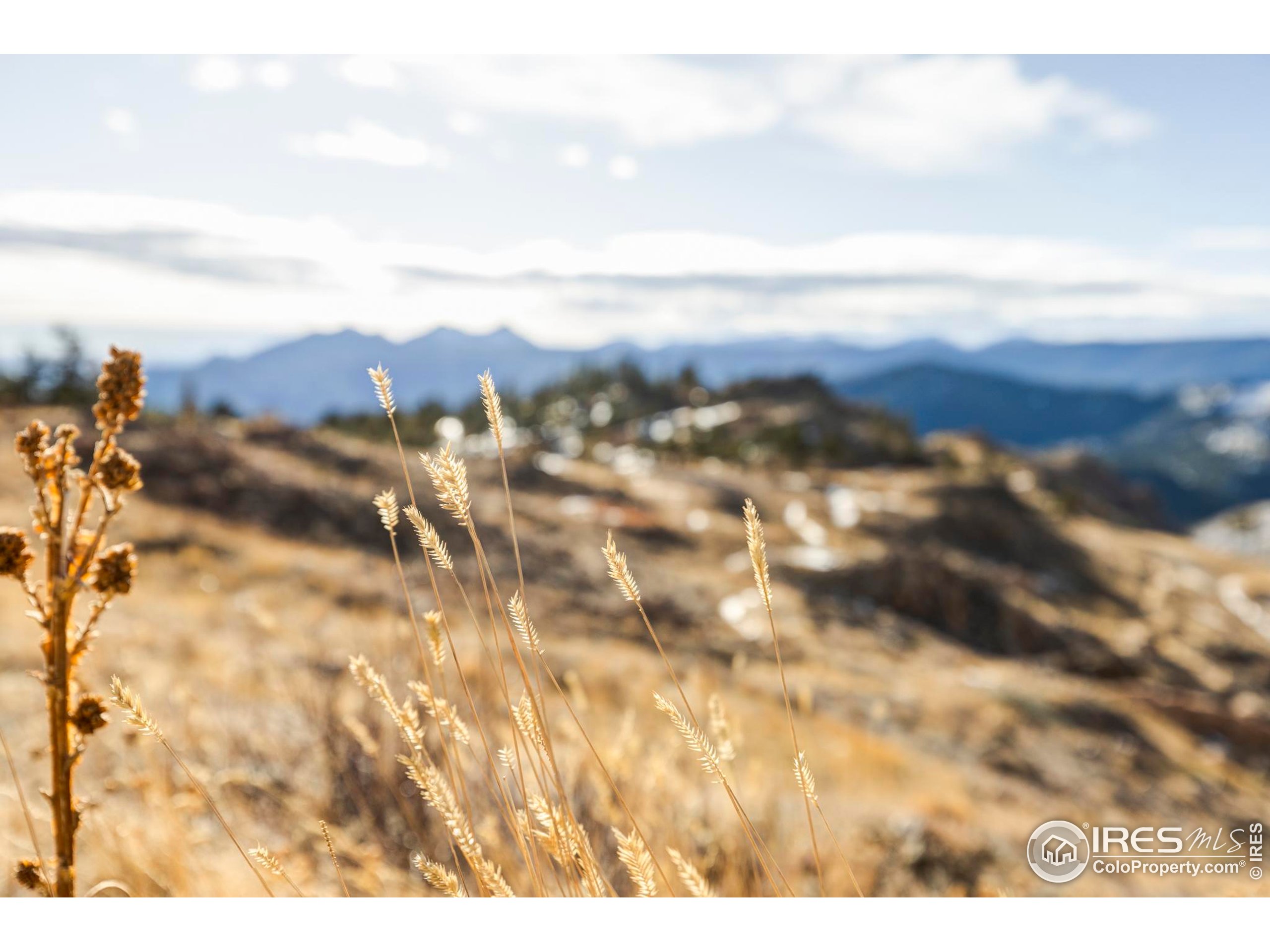 6801 Sunshine Canyon Dr