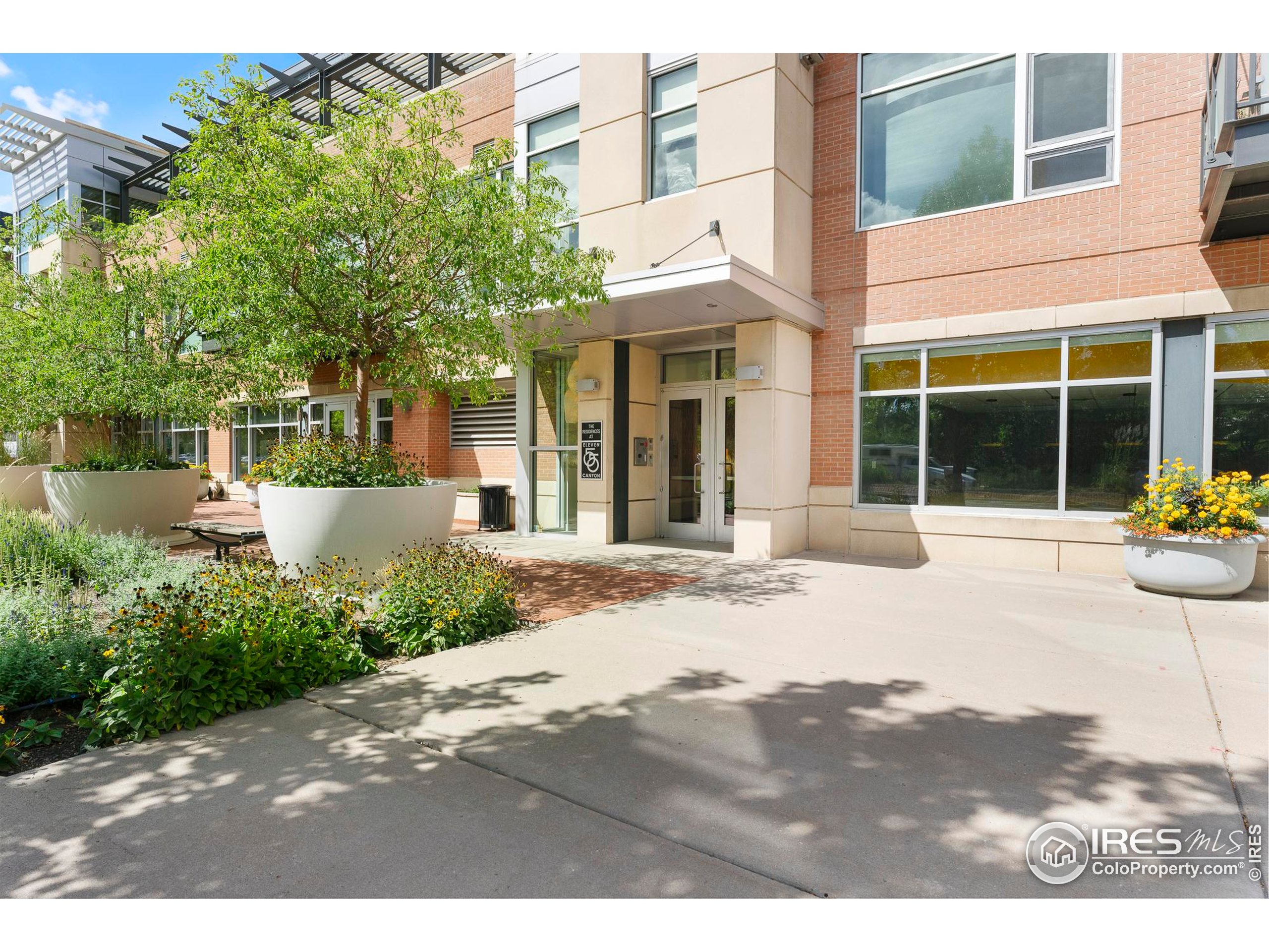 1155 Canyon Blvd 207