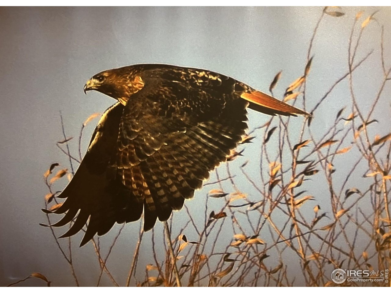 11730 Pointe View Dr