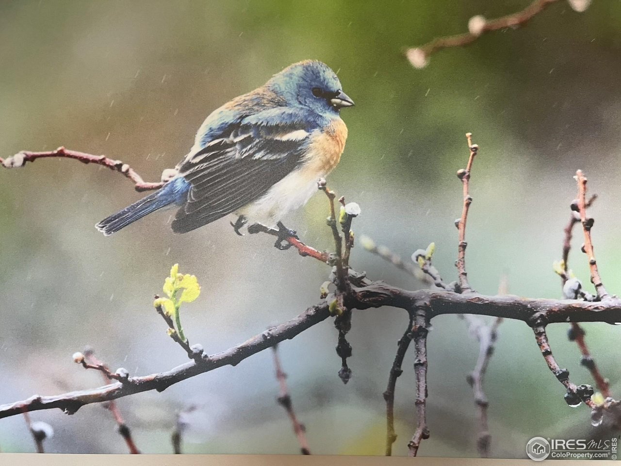 11730 Pointe View Dr