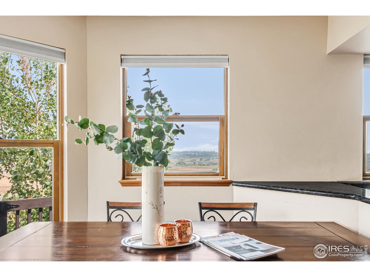 11730 Pointe View Dr