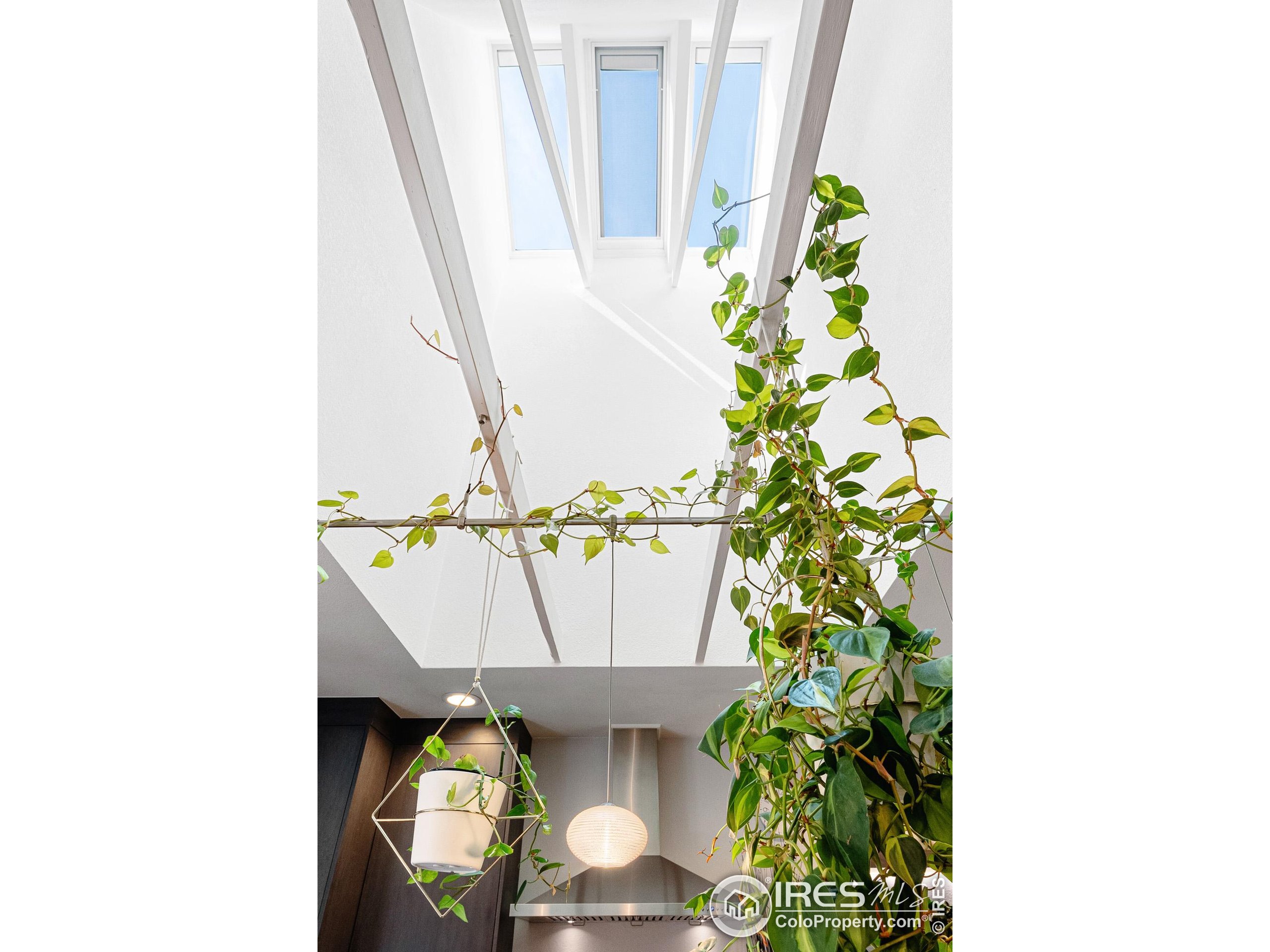 1839 White Feather Dr