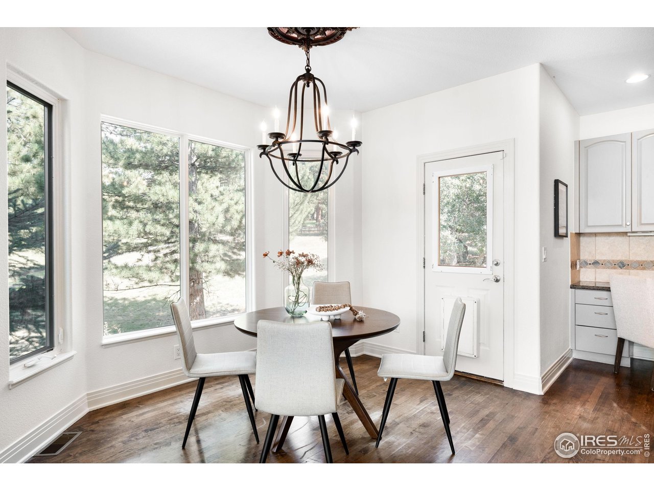 5086 Fox Sparrow Rd Parker