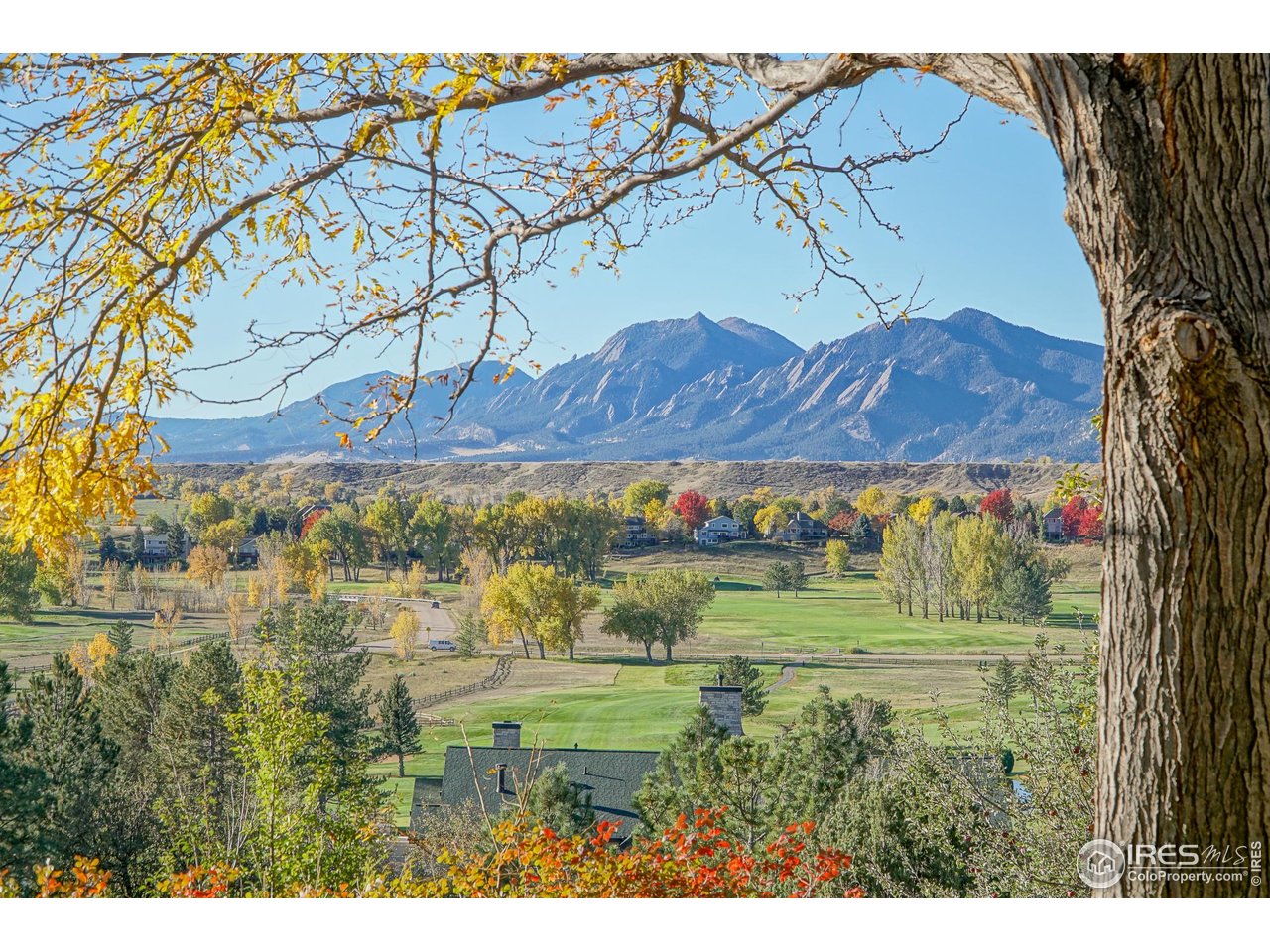 4448 Nicklaus Ct Longmont