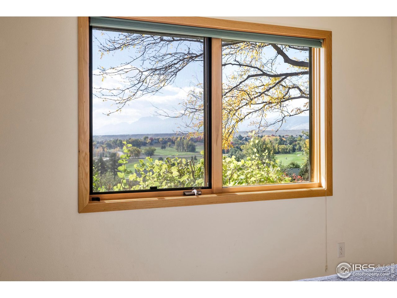 4448 Nicklaus Ct Longmont