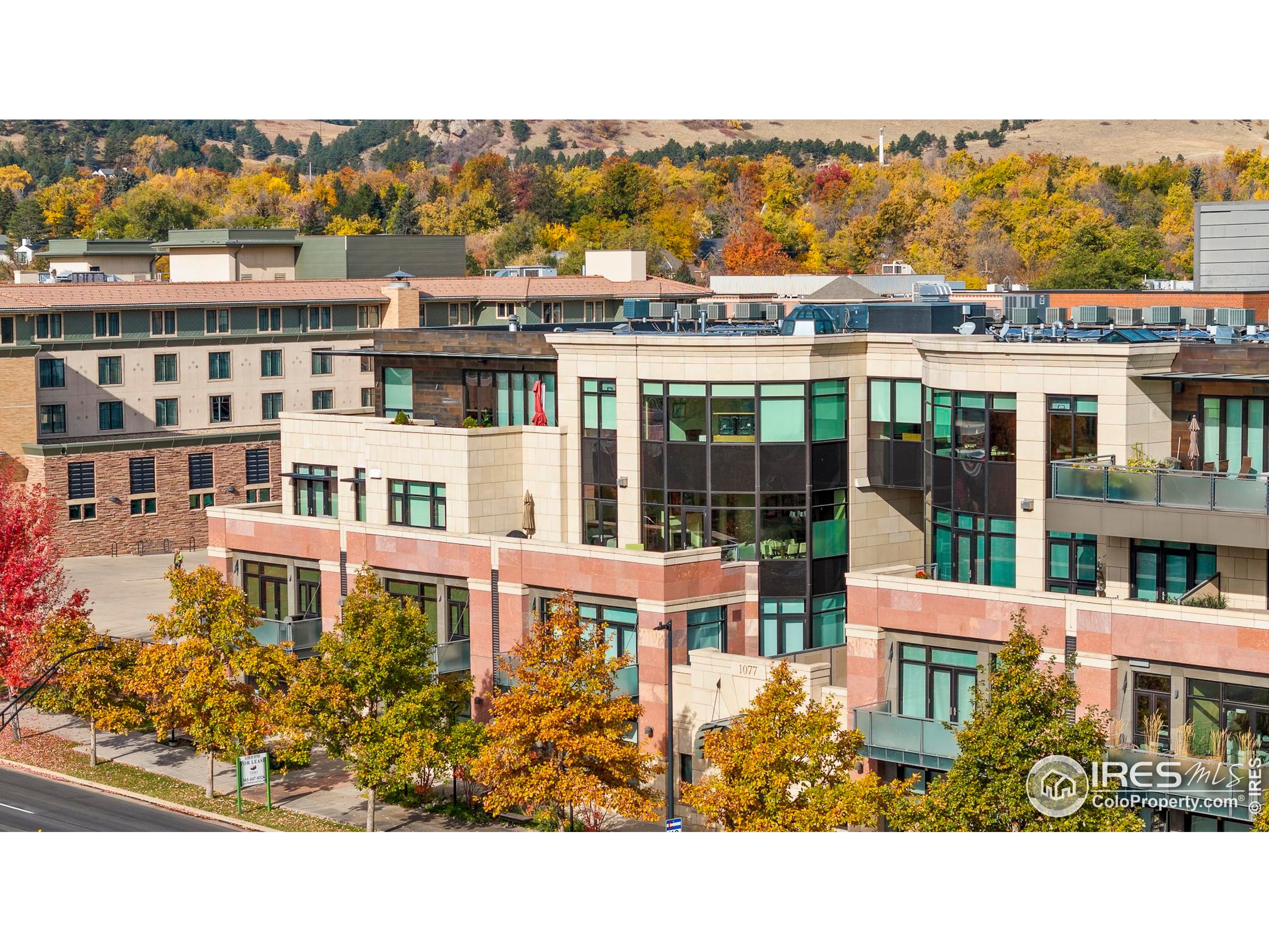 1077 Canyon Blvd 304