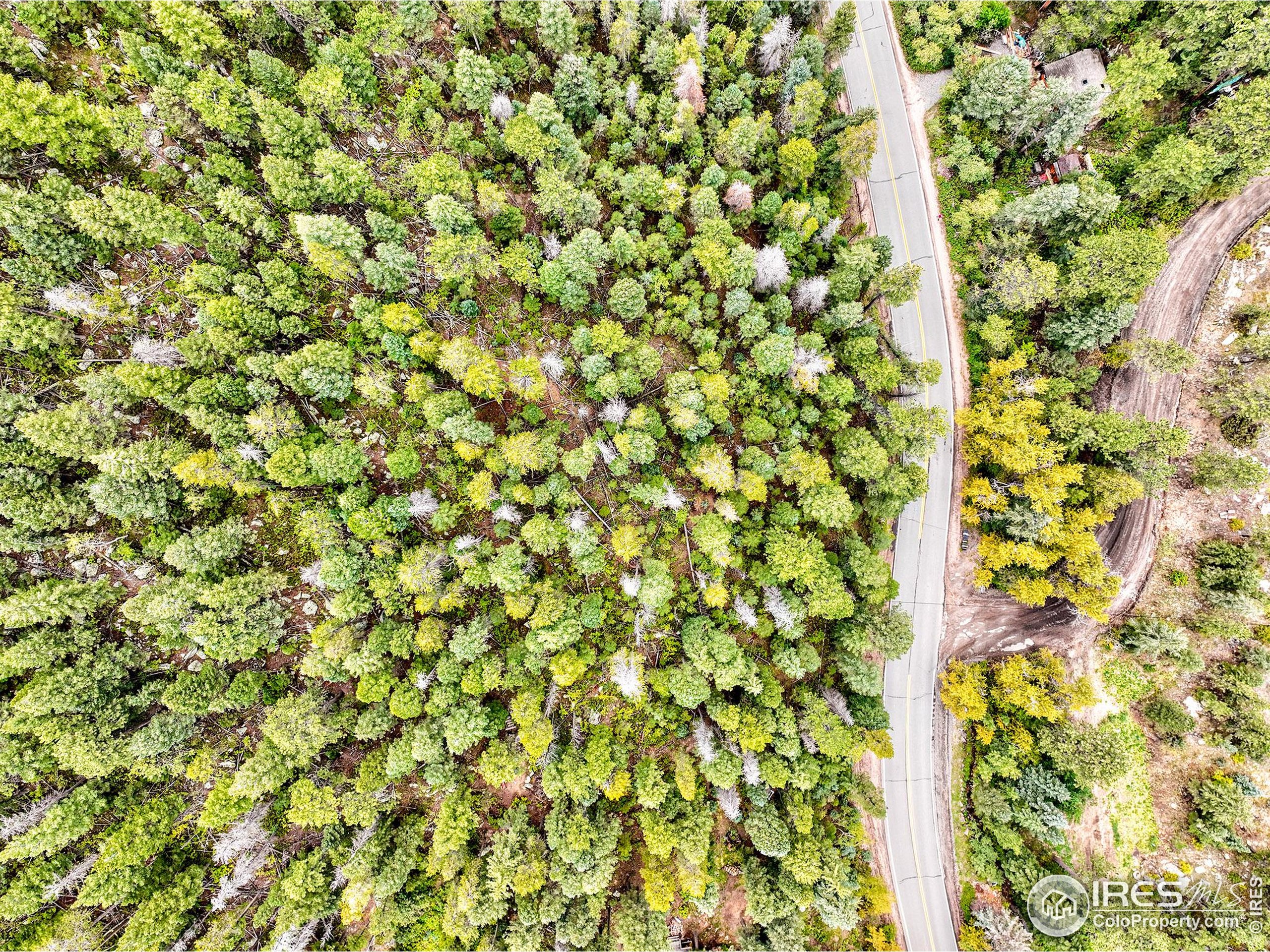 10862 Twin Spruce Rd