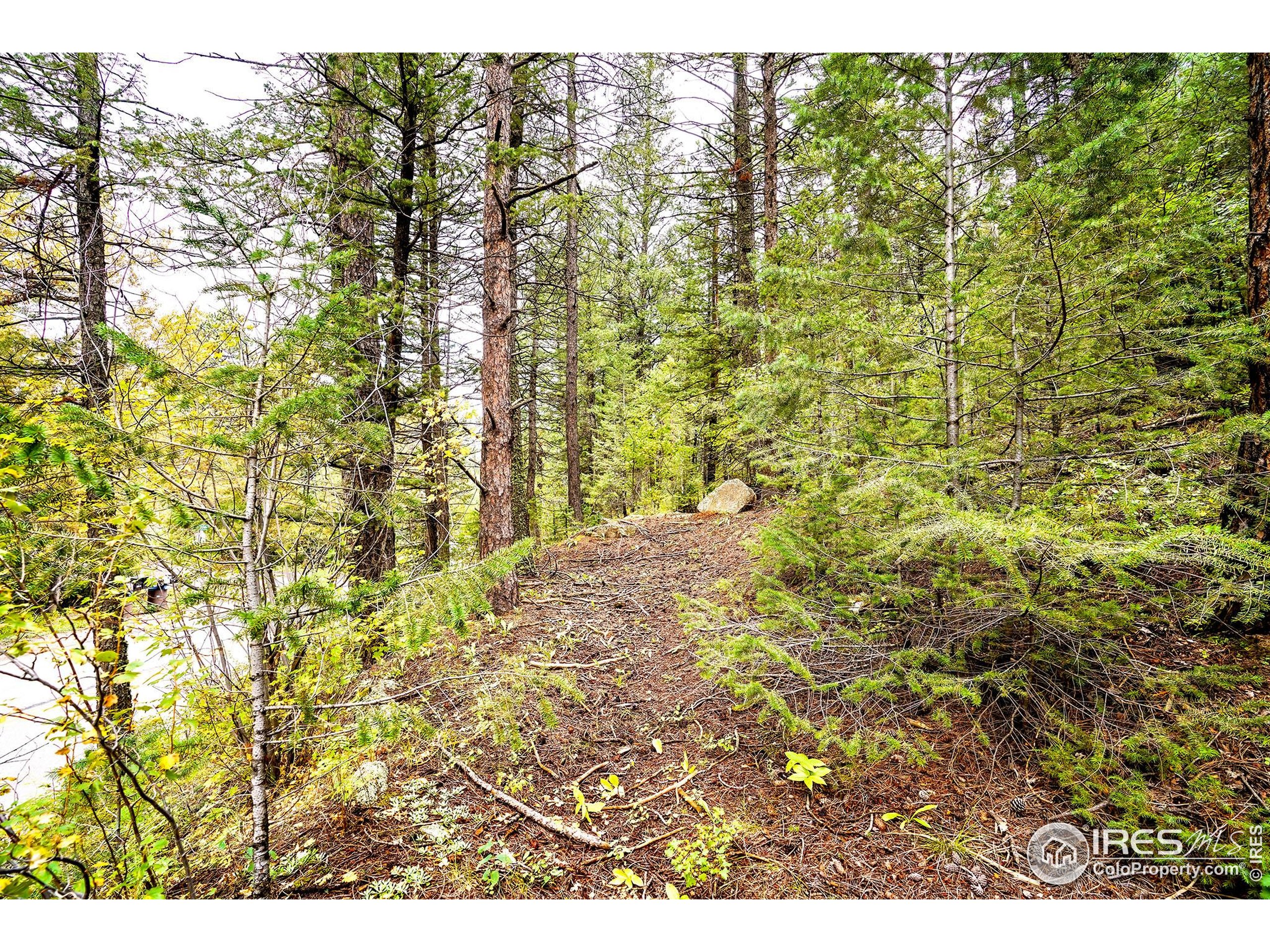 10862 Twin Spruce Rd