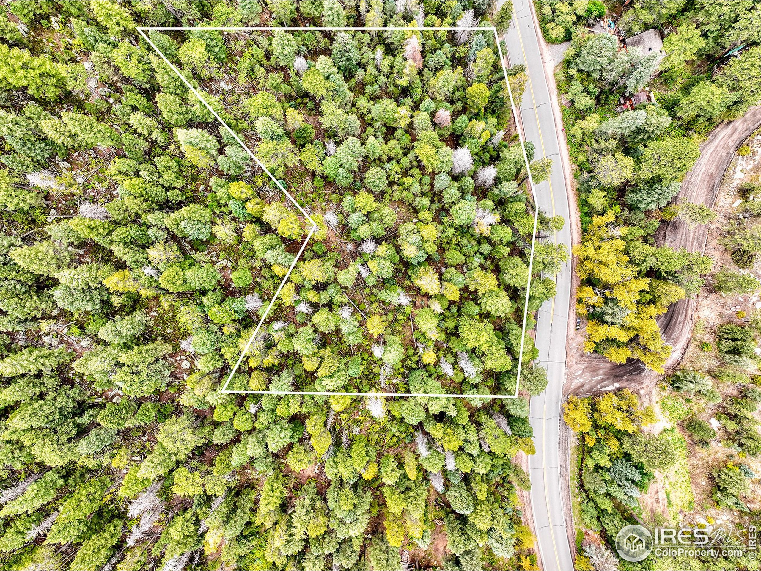 10862 Twin Spruce Rd